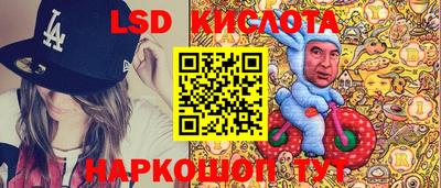альфа пвп Новодвинск