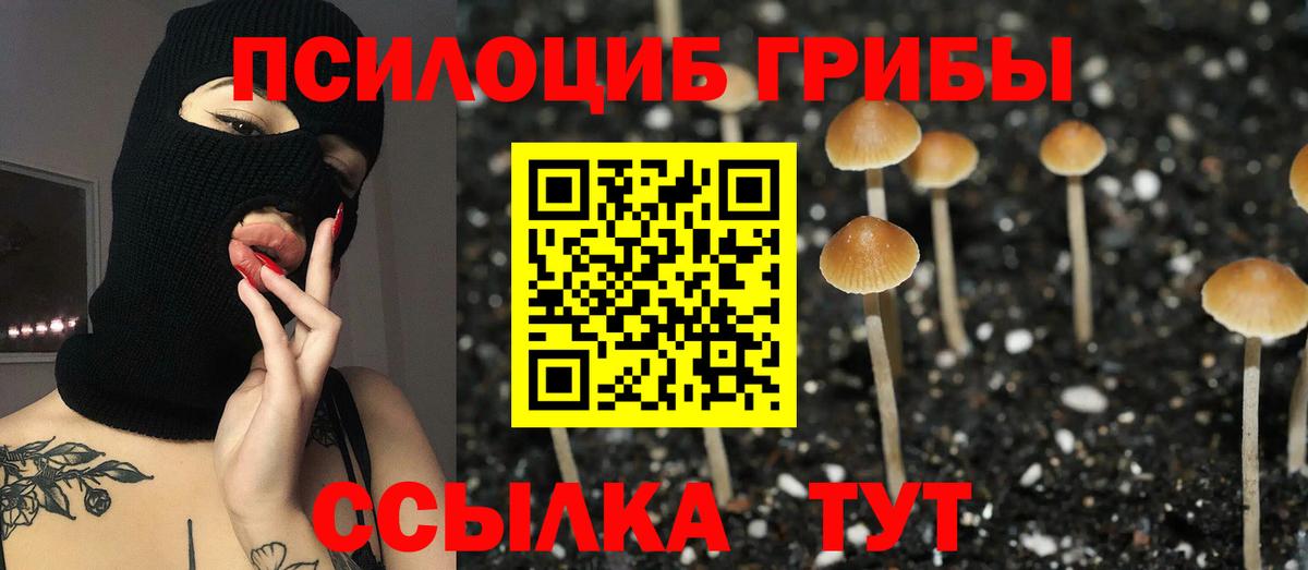 Галлюциногенные грибы MAGIC MUSHROOMS  Вход с VPN  Стрежевой  Псилоцибиновые грибы Magic Shrooms 